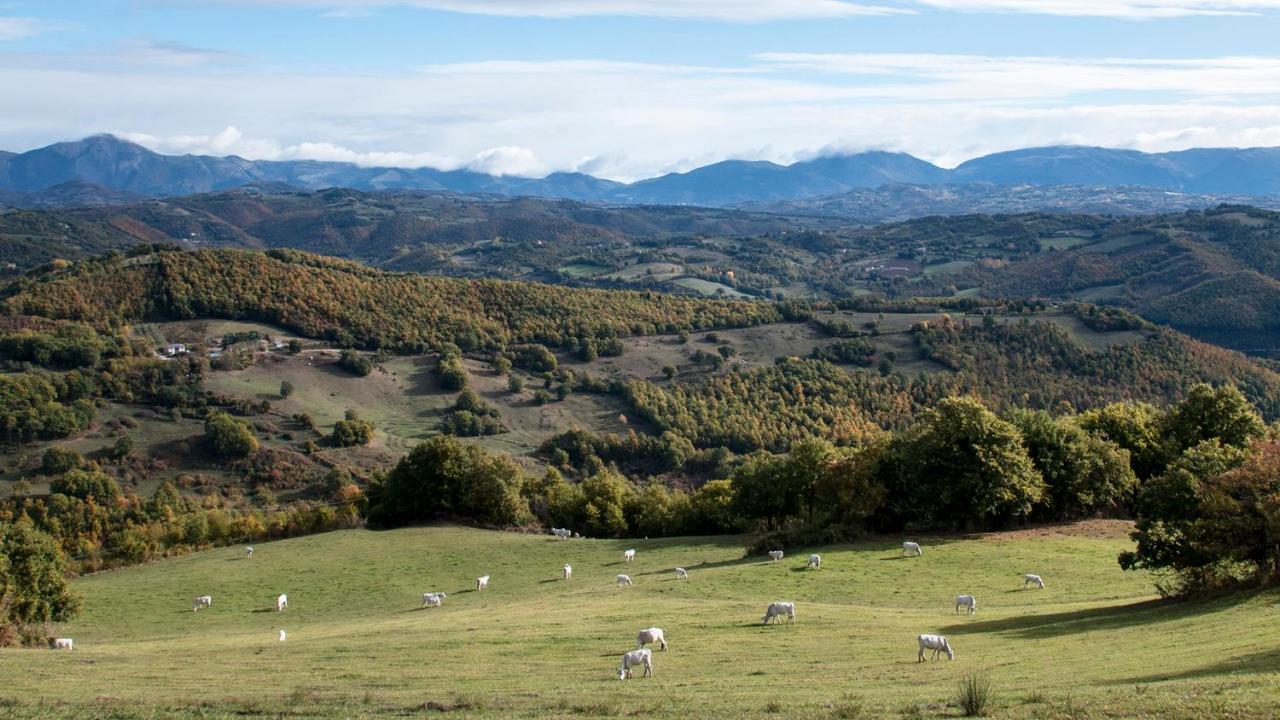 فندق Castello Di Petroia Dimora D'Epoca غوبيو المظهر الخارجي الصورة