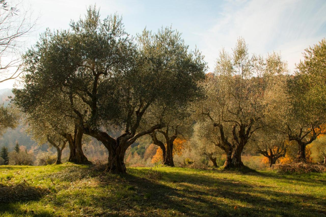 فندق Castello Di Petroia Dimora D'Epoca غوبيو المظهر الخارجي الصورة